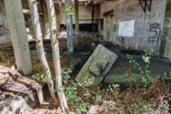 IMG_20250427_134511